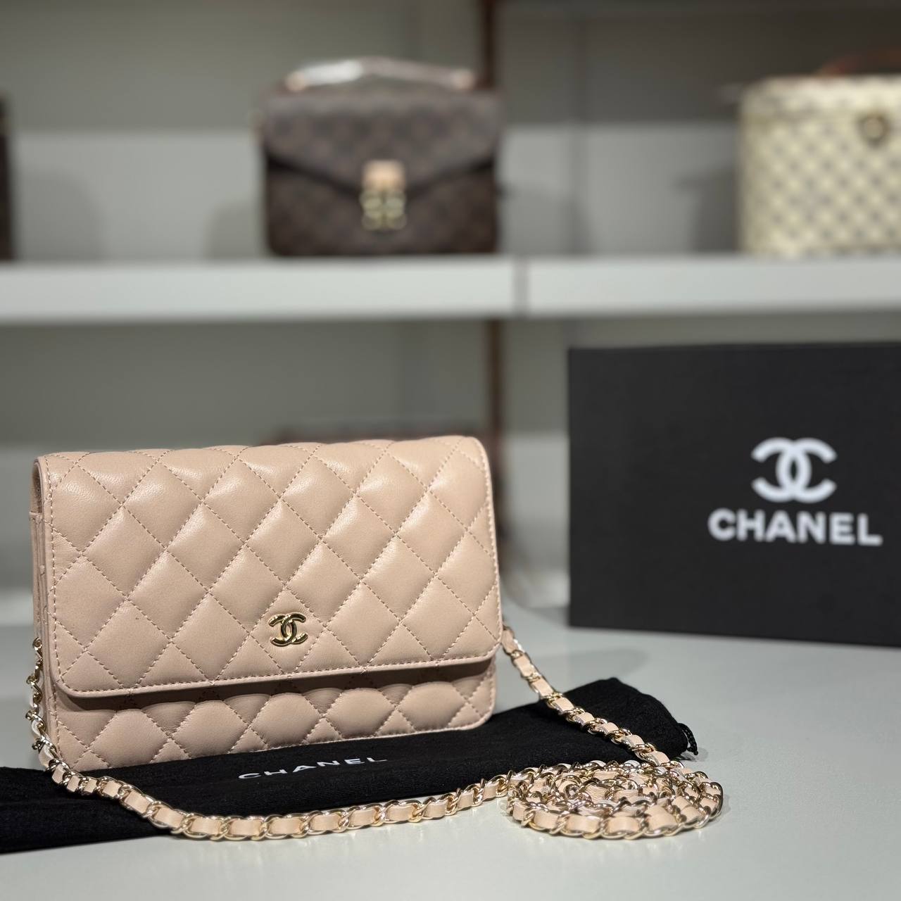 Chanel 04101