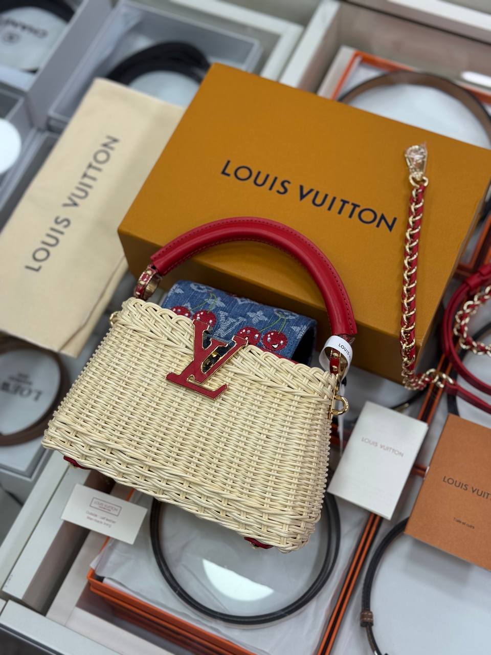 louıs  Vuıtton Capucines Mini