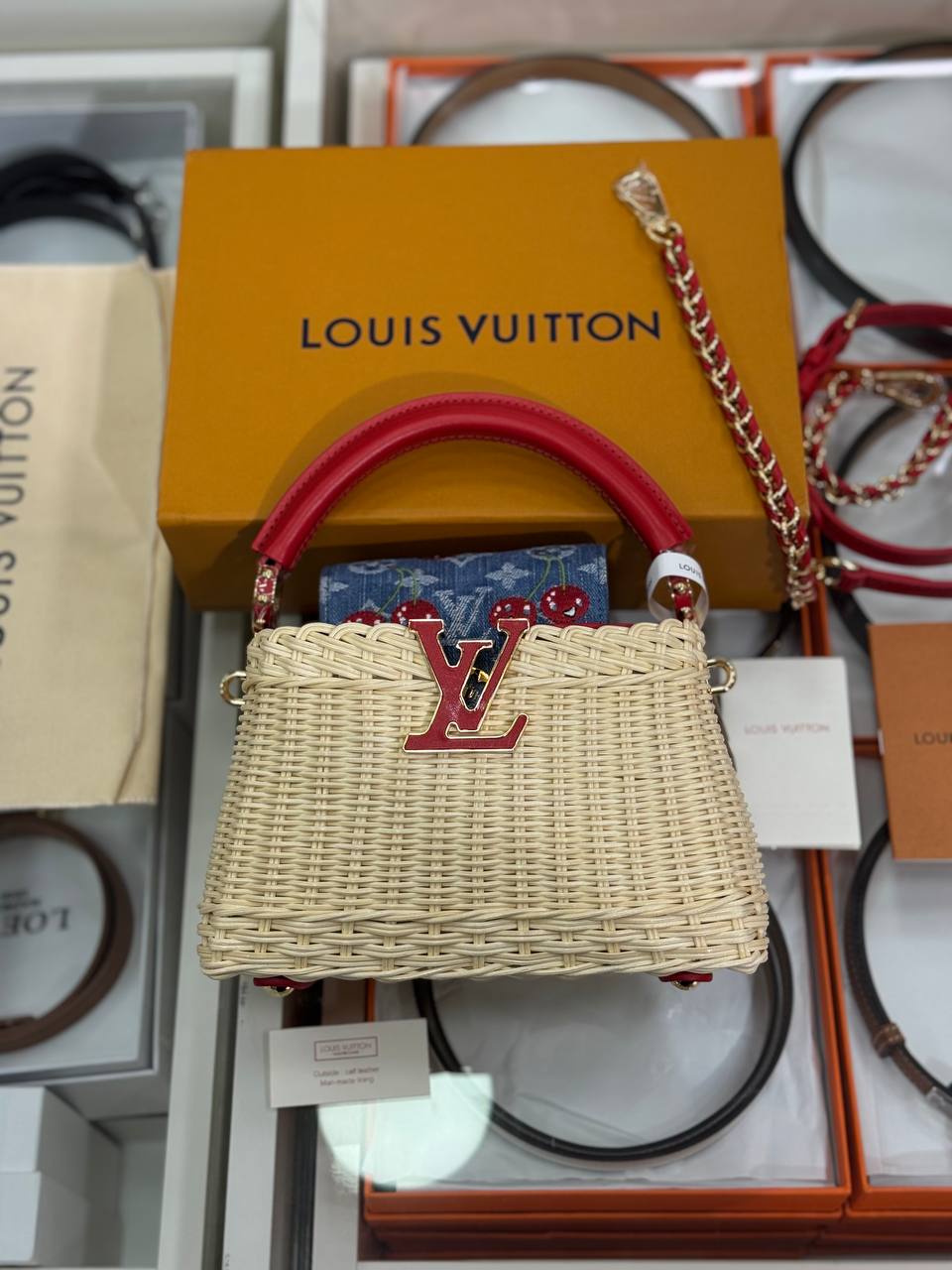 louıs  Vuıtton Capucines Mini